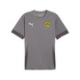 Junior TeamGoal Jersey - Grey