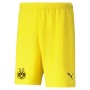 Junior TeamRise Short - Yellow