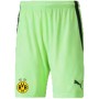 Adult Team Liga 25 Short